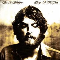 Ray LaMontagne - Gossip in the Grain