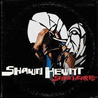 Shawn Hewitt - Spare Hearts