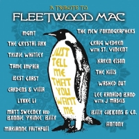 fleetwoodmactribute