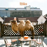 Wilco - Wilco (the album)